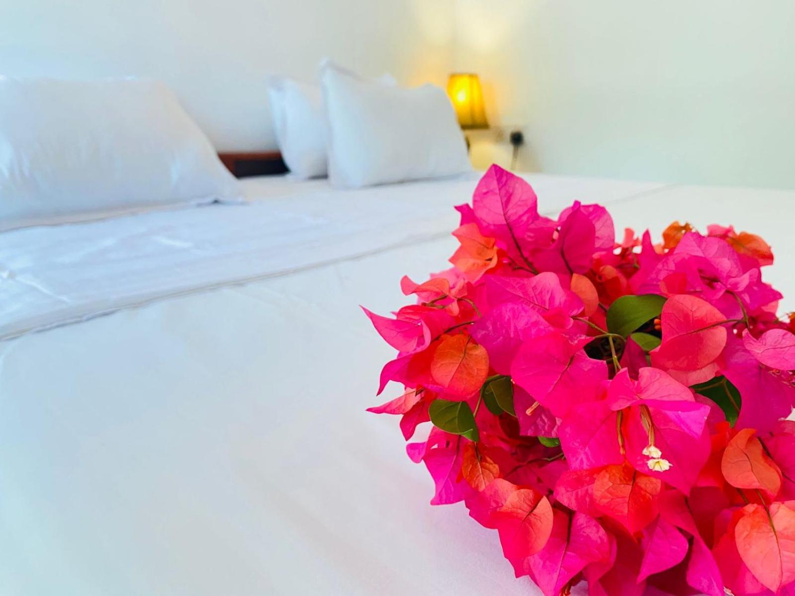 Aaliya Bay Hotel Arugam Bay Kültér fotó
